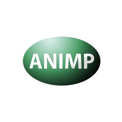 animp_2